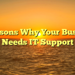 5 Reasons Why Your Business Needs IT Support