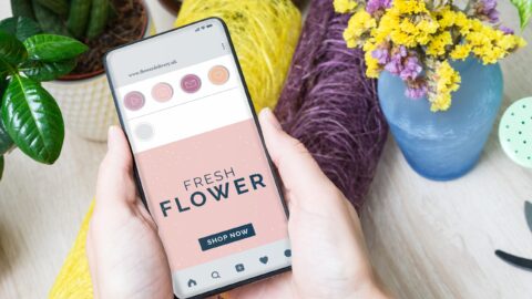 How You Can Shop Online Like a Pro