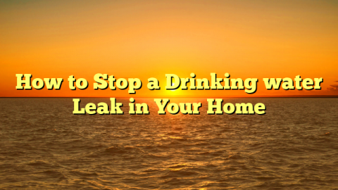 How to Stop a Drinking water Leak in Your Home