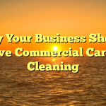 Why Your Business Should Have Commercial Carpet Cleaning