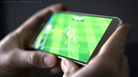 specs-sports.com